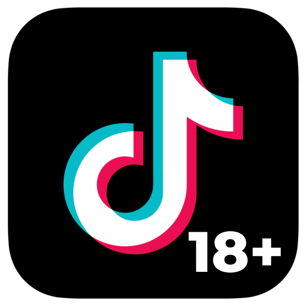 tiktok 18 3.6 apk download